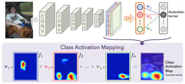 class activation mapping